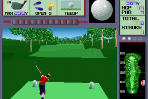 Dynamic Country Club abandonware
